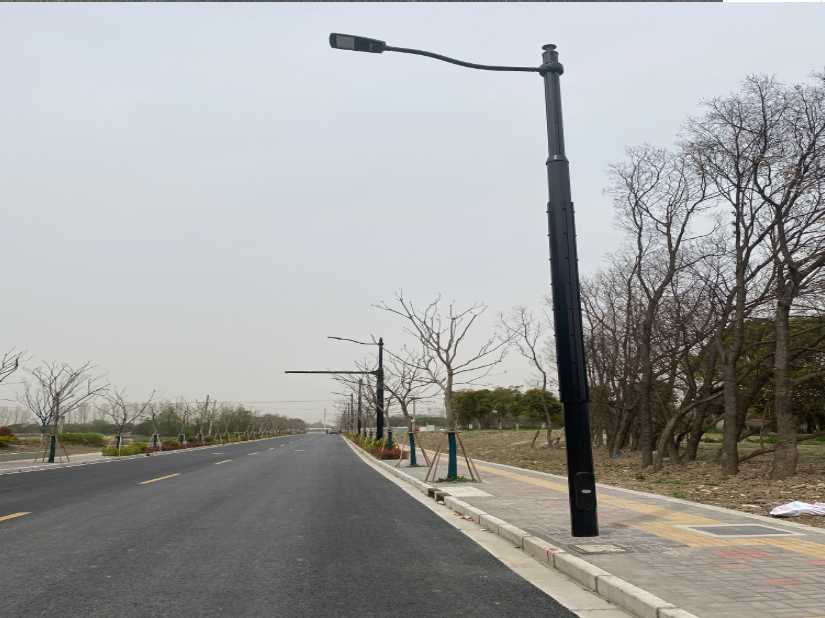 石棉县上海综合杆 太阳能路灯工程